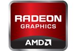 101102_amd_s.jpg