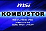 110225_msi_s.jpg