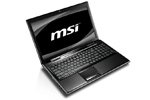 110302_msi_s.jpg