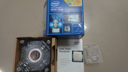 Intel E3-1230 v3_01.jpg