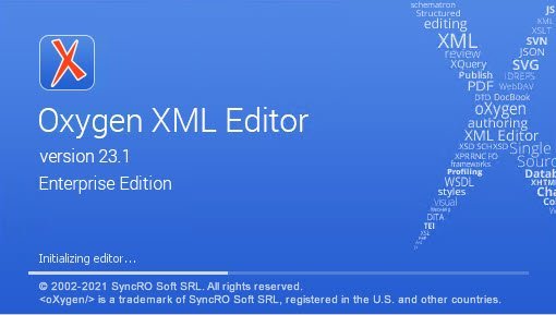 Oxygen XML Editor 23.1 x64 Multilingual Win.jpg