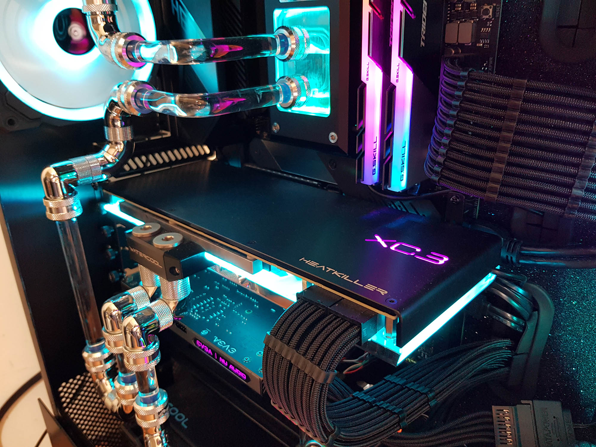 Backplate with RGB.jpg